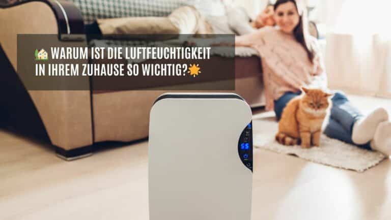 Luftentfeuchter für die Wohnung: Die ultimative Lösung für ein gesundes Raumklima