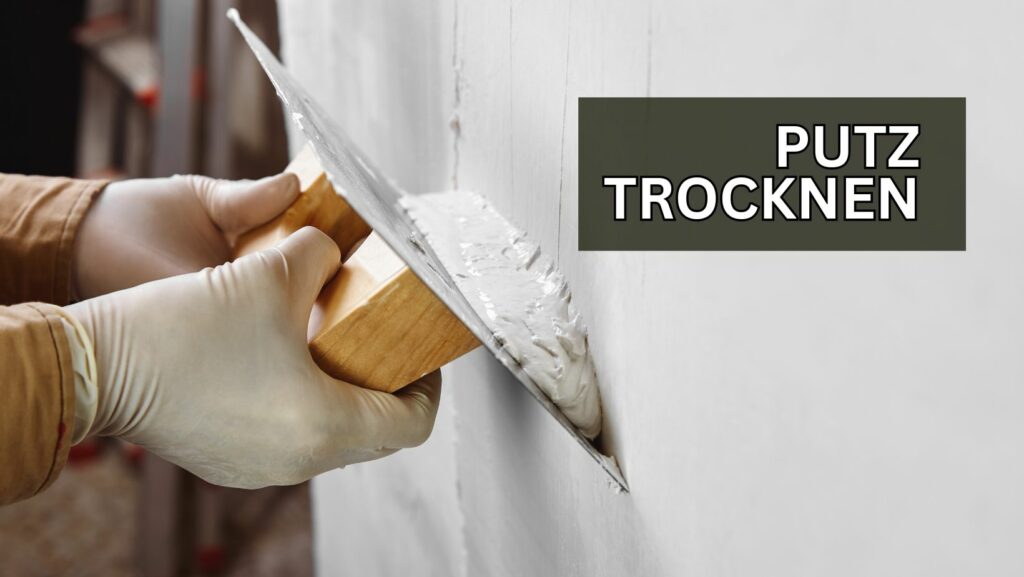 ab wann bautrockner putz trocknen