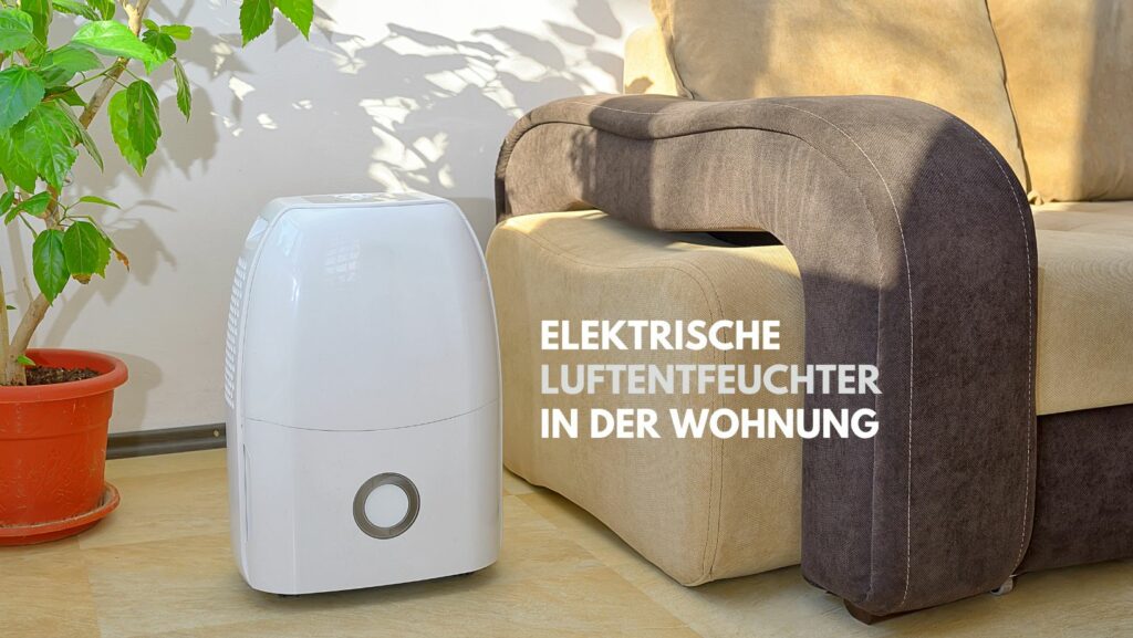 Luftentfeuchter für Wohnung