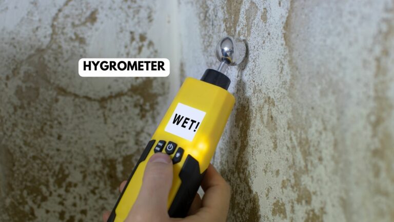 Hygrometer: Das Schlüsselwerkzeug zur Messung der Luftfeuchtigkeit