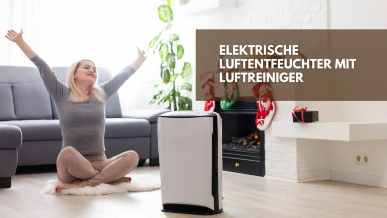 Elektrische Luftentfeuchter mit Luftreiniger